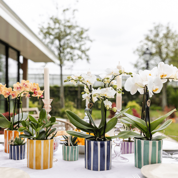 Image of Topf Gemalter Streifen – Türkis – Ø9cm – Mediterraner Keramik Blumentopf mit Streifenmuster – Übertopf aus der Mediterranean Sunset Kollektion-1