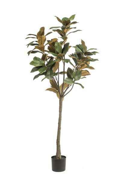 Image of Kunstpflanze Magnolia Grandiflora ↕150cm – künstliche Grünpflanze für Wohnzimmer, Büro, Flur & pflegeleichte Deko-0