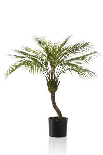 Image of Kunstpflanze Chamaedorea Elegans – Bergpalme – 85cm – Hochwertige künstliche Palme mit naturgetreuen Wedeln – Immergrüne Dekopflanze – Pflegefrei & langlebig-0