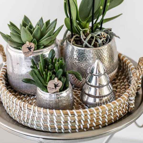 Image of Blumentopf Elite Silber – Ø9cm – Glänzender Keramik Übertopf – Dekorativer Pflanztopf für Zimmerpflanzen – Keramiktopf für stilvolle Innendeko