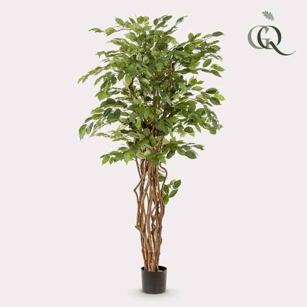 Image of Ficus Liana – Künstliche Zimmerpflanze – ↕170cm – Realistische Stiefmütterchen – Pflanze – Dekoration für Wohnzimmer, Flur & Wintergarten-1
