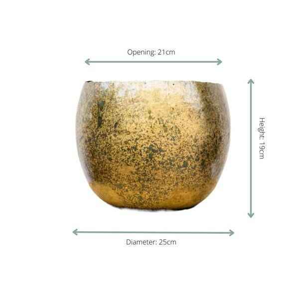Image of Topf Ellen Messing – 25cmx19cm – Eleganter Pflanzentopf mit Messing-Finish für Innen- und Außenbereich-2