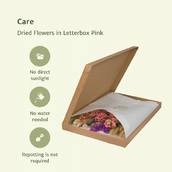 Image of Trockenblumen im Briefkasten Rosa – Eleganter getrockneter Blumenstrauß – Sanfte Weiß – , Beige – & Hellrosa – Töne – Pflegefreie Deko-2