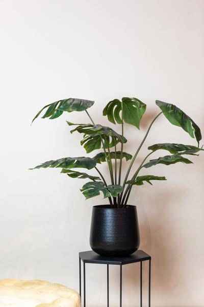 Image of Kunstpflanze Monstera Deliciosa ↕95cm – künstliche Grünpflanze für Wohnzimmer, Büro, Flur & pflegeleichte Deko-1