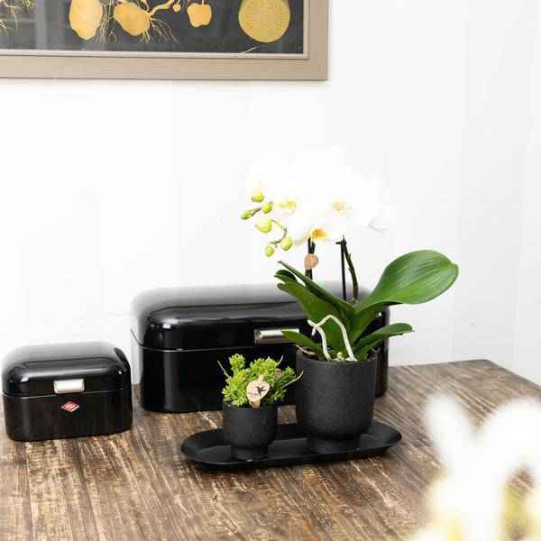 Image of Ovales Tablett Schwarz – Ø30cm x 13cm – Metall – Deko – Tablett für Pflanzensets, Orchideen & Wohnaccessoires – Stilvoller Pflanzenuntersetzer
