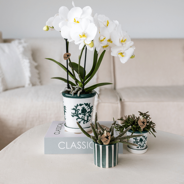 Image of Malaga Topf – Grün – Ø9cm – Blumentopf aus Keramik im mediterranen Stil – Handgefertigte Optik-1