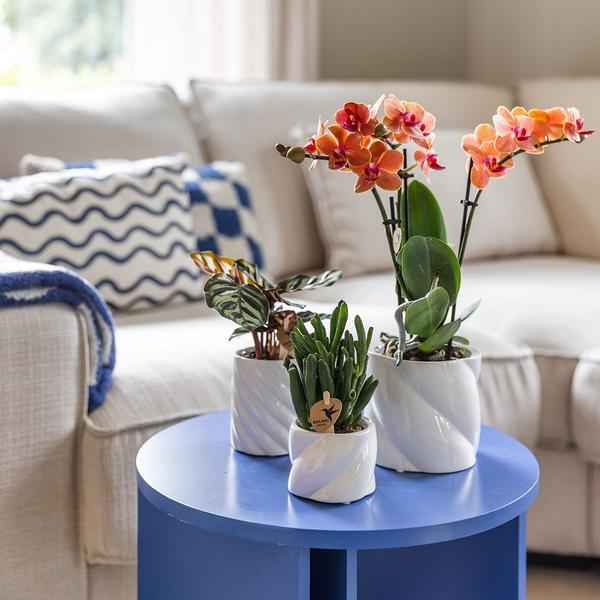 Image of Dekotopf Candy – Weiß – Ø6cm – Keramik Blumentopf in glänzender Optik – Runde Form – Für Mini – Orchideen, Sukkulenten & Zimmerpflanzen-1