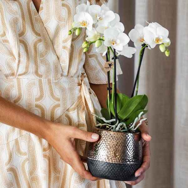 Image of Blumentopf Elite Kupfer – Ø9cm – Moderner Keramik Übertopf – Dekorativer Pflanztopf für kleine bis mittelgroße Zimmerpflanzen – Stilvolle Innendeko-1