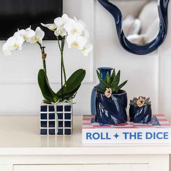 Image of Candy Dekotopf Blau Ø9cm – runder Keramik Übertopf in frischem Blau – fröhliches Design für Orchideen & Zimmerpflanzen-1