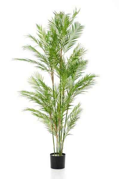 Image of Kunstpflanze Chamaedorea Elegans ↕180cm – künstliche Grünpflanze für Wohnzimmer, Büro, Flur & pflegeleichte Deko-0