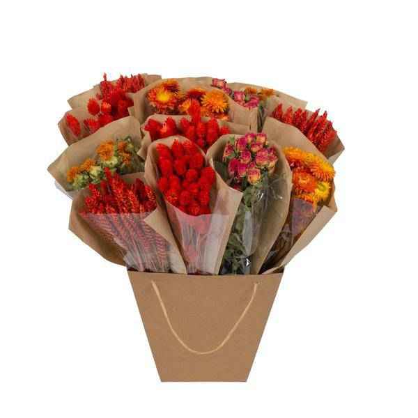 Image of Getrocknete Blumen – Mono Mix – Orange – ↕50cm – Handgebundener Strauß – Langlebig & pflegeleicht – Dekoration & Geschenkidee