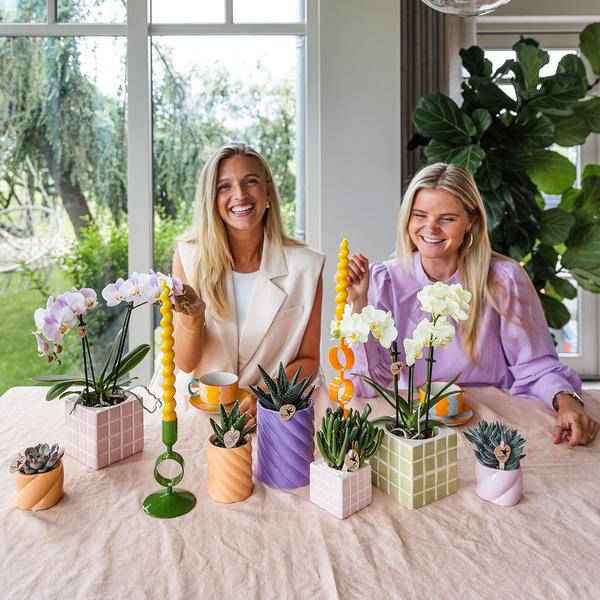 Image of Candy Dekotopf Pfirsich – Ø6cm – Keramik Übertopf in Pastellfarbe – Stilvoller Blumentopf für Zimmerpflanzen & Orchideen – Fröhlicher Pflanzentopf-1