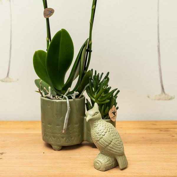 Image of Deko – Kakadu auf Stab – Grün – 12cm – Ornament aus Polystone – Zierfigur für Blumentöpfe & Pflanzensets – Stylischer Vogel als Deko – Highlight-2