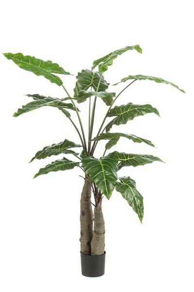 Image of Kunstpflanze Alocasia ↕150cm – künstliche Grünpflanze für Wohnzimmer, Büro, Flur & pflegeleichte Deko