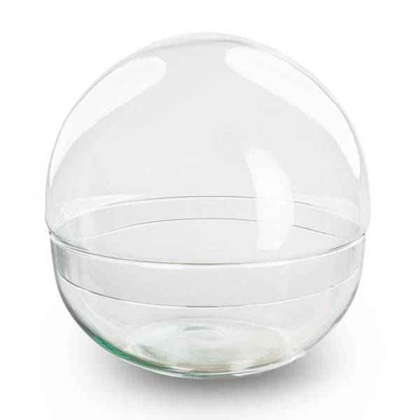 Image of Flaschengarten – Terrarienflasche Dome – geschlossenes Kuppel – Terrarium aus recyceltem Glas – Ø28cm – ↑28cm – Klarglas – DIY Pflanzengefäß-0