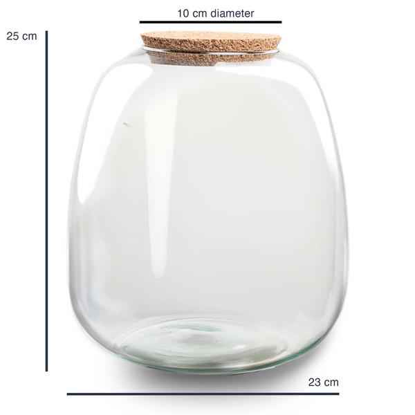 Image of Terrarium Flasche Emma – Glasflasche 25x23cm – Dekoglas für Pflanzenterrarium, Flaschengarten & kreative Bepflanzungen – Deko-1