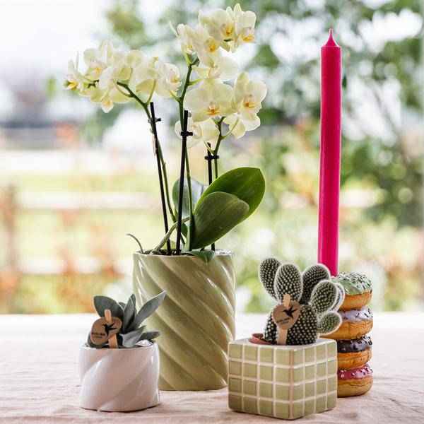 Image of Dekotopf Candy – Weiß – Ø6cm – Keramik Blumentopf in glänzender Optik – Runde Form – Für Mini – Orchideen, Sukkulenten & Zimmerpflanzen-2