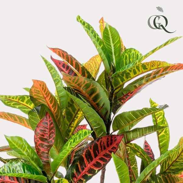 Image of Kunstpflanze Croton Codiaeum – Wunderstrauch – 95cm – künstliche Pflanze mit bunt gefärbten Blättern & Holzstamm – Deko-Pflanze für Zimmer & Büro-2