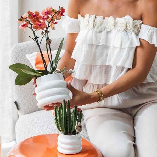 Image of Blumentopf Bubble – Weiß – Ø6cm – Keramik Dekotopf mit strukturierter Oberfläche – Stilvoller Mini – Pflanztopf für Sukkulenten & Zimmerpflanzen-4