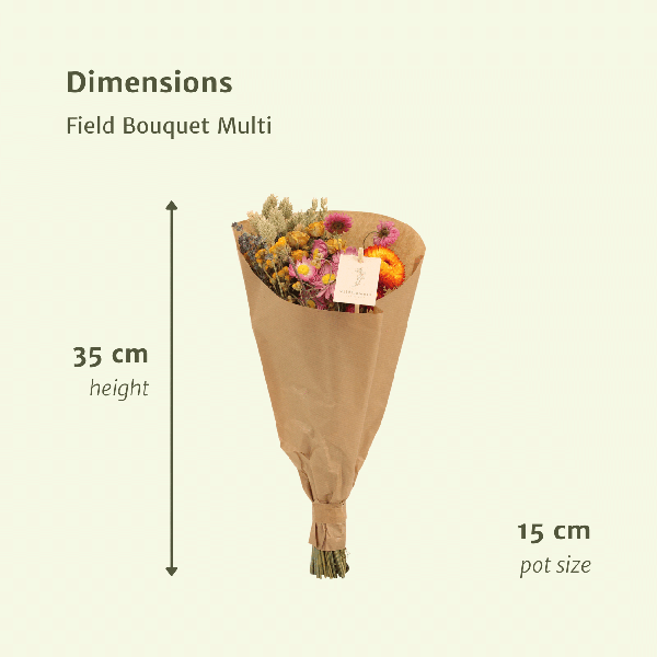 Image of Trockenblumen Feldblumenstrauß Multi Buntes Trockenblumen Bouquet Ø15cm ↕35cm – dekorativer Trockenblumenstrauß für Vase, Tischdeko, Wohnzimmer-1