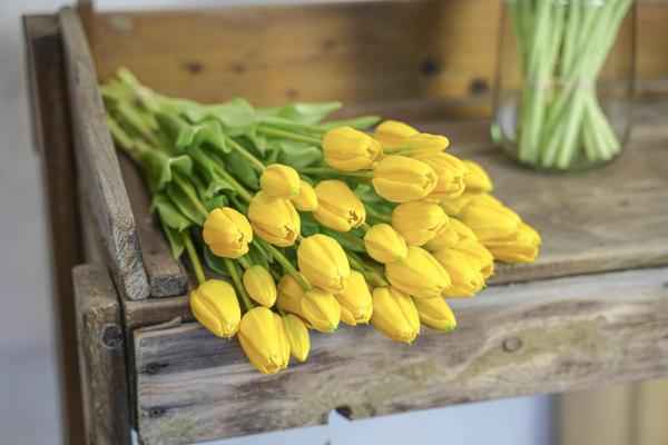 Image of Tulpenstrauß Gelb – 10 Kunsttulpen – 42cm – Real Touch – Fröhliche & langlebige Wohnraumdekoration-1