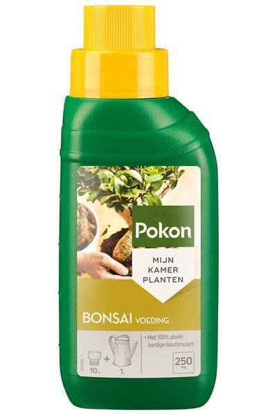 Image of Bonsai Dünger Zimmerpflanze – pflegeleichte Grünpflanze für Wohnzimmer, Büro & helle Standorte kaufen