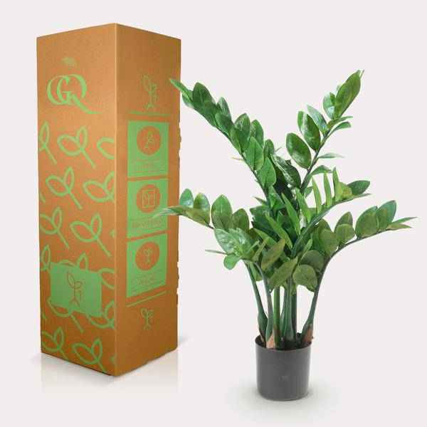 Image of Kunstpflanze Zamioculcas ↕70cm – künstliche Grünpflanze für Wohnzimmer, Büro, Flur & pflegeleichte Deko-3