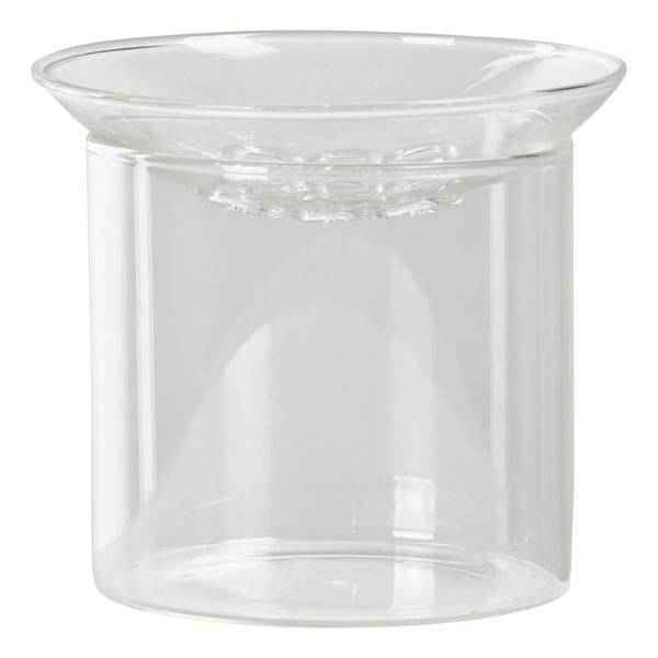 Image of Vermehrungsvase S Zimmerpflanze Ø9cm ↕8cm – pflegeleichte Grünpflanze für Wohnzimmer, Büro & helle Standorte kaufen