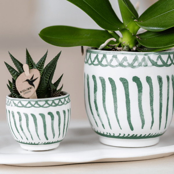 Image of Topf Granada – Grün – Ø6cm – Dekorativer Blumentopf aus Keramik im mediterranen Stil – Glasiertes Pflanzgefäß für Zimmerpflanzen – Mini – Übertopf-2
