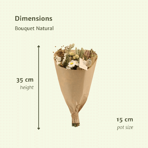 Image of Trockenblumen Feldblumenstrauß Natürlich – Blumenstrauß – Ø15cm ↕35cm – Natürliche Farben – Getrocknete Blumen – Nachhaltige Deko – Pflegefrei-3