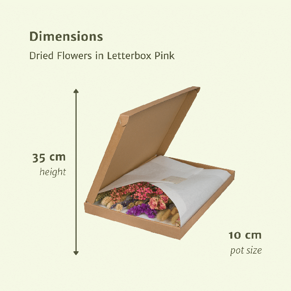 Image of Trockenblumen im Briefkasten Rosa – Eleganter getrockneter Blumenstrauß – Sanfte Weiß – , Beige – & Hellrosa – Töne – Pflegefreie Deko-1