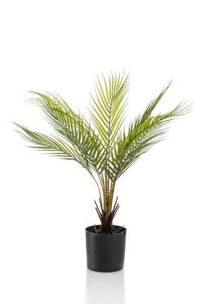 Image of Kunstpflanze Chamaedorea Elegans – Bergpalme – 50cm – künstliche Mini – Palme mit naturgetreuen Fiederblättern – pflegefrei-0