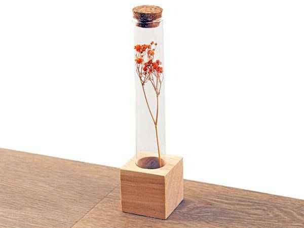 Image of Trockenblumenständer aus Holz – Tube S – 24cm – Halter für Trockenblumen & Kräuter – 16 Löcher für kreative Blumenarrangements-1