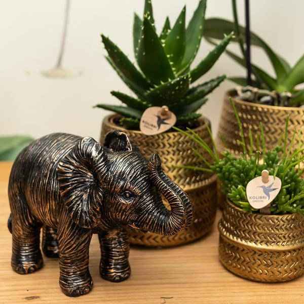 Image of Groove Blumentopf Gold – Keramik – Topf mit mattem Finish – Ø12cm – Robustes, strukturiertes Design – Eleganter Pflanztopf fürs Wohnzimmer