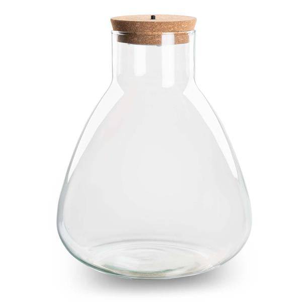 Image of Flaschengarten ↕30cm – pflegeleichter Flaschengarten im Glas, Pflanzen Terrarium für Wohnzimmer & Büro-1