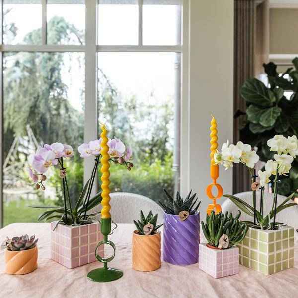 Image of Candy Dekotopf Pfirsich – Ø6cm – Keramik Übertopf in Pastellfarbe – Stilvoller Blumentopf für Zimmerpflanzen & Orchideen – Fröhlicher Pflanzentopf-3