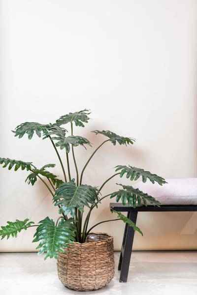 Image of Kunstpflanze Philodendron – 80cm – Realistische Zimmerpflanze – Pflegefrei – Flexibel formbar – Für Wohnzimmer, Büro & Hängeampel – Tropischer Look-1