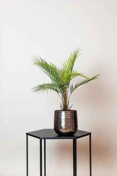 Image of Kunstpflanze Chamaedorea Elegans – Bergpalme – 50cm – künstliche Mini – Palme mit naturgetreuen Fiederblättern – pflegefrei-1