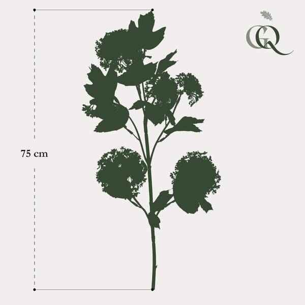 Image of Kunstpflanze Künstliche Viburnum Opulus Zweige Creme 75cm 4er – Set Realistische Kunstb ↕75cm – künstliche Grünpflanze für Wohnzimmer, Büro, Flur
