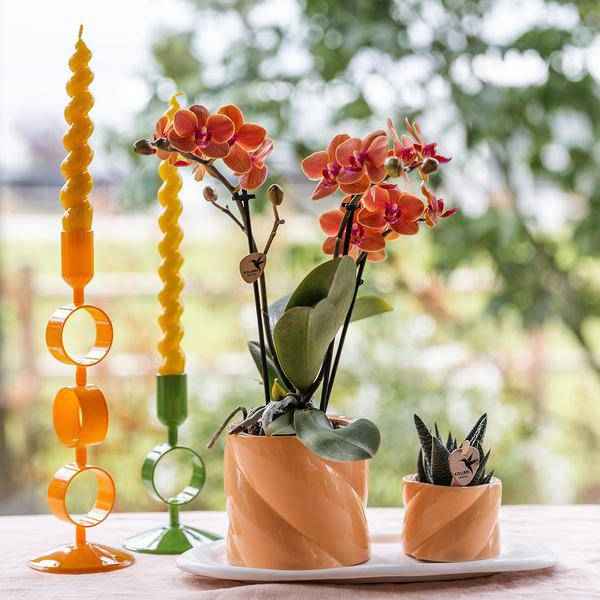 Image of Dekotopf Candy – Pfirsich – Ø6cm – Farbiger Keramik Blumentopf in glänzender Optik – Runde Form – Für Mini-Pflanzen & Orchideen-3