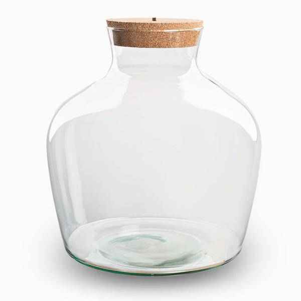 Image of Flaschengarten Terrarienflasche Fat Joe ↕30cm – pflegeleichter Flaschengarten im Glas, Pflanzen Terrarium für Wohnzimmer & Büro-1