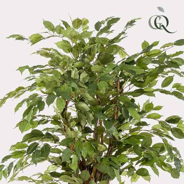 Image of Ficus Liana – Künstliche Zimmerpflanze – ↕170cm – Realistische Stiefmütterchen – Pflanze – Dekoration für Wohnzimmer, Flur & Wintergarten-2