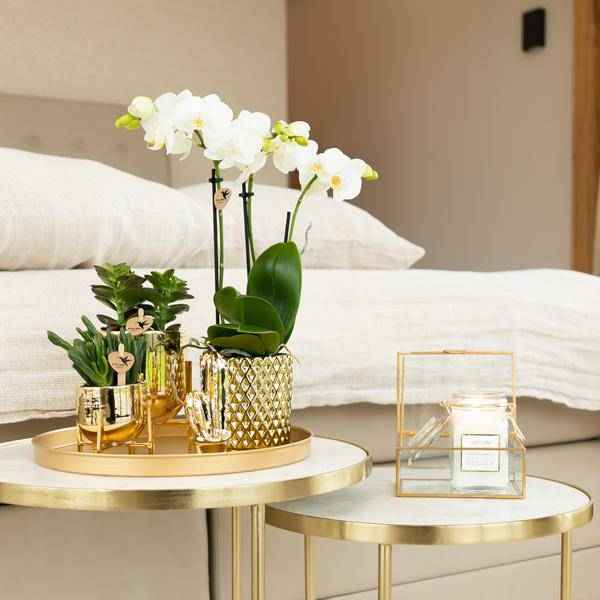 Image of Blumentopf Gold Keramik Metall Ø9cm – moderner Pflanztopf für Zimmerpflanzen, Sukkulenten, Kakteen & Kräuter-3