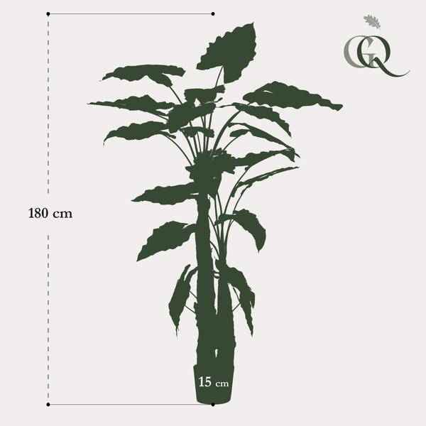 Image of Kunstpflanze Alocasia ↕180cm – künstliche Grünpflanze für Wohnzimmer, Büro, Flur & pflegeleichte Deko-4