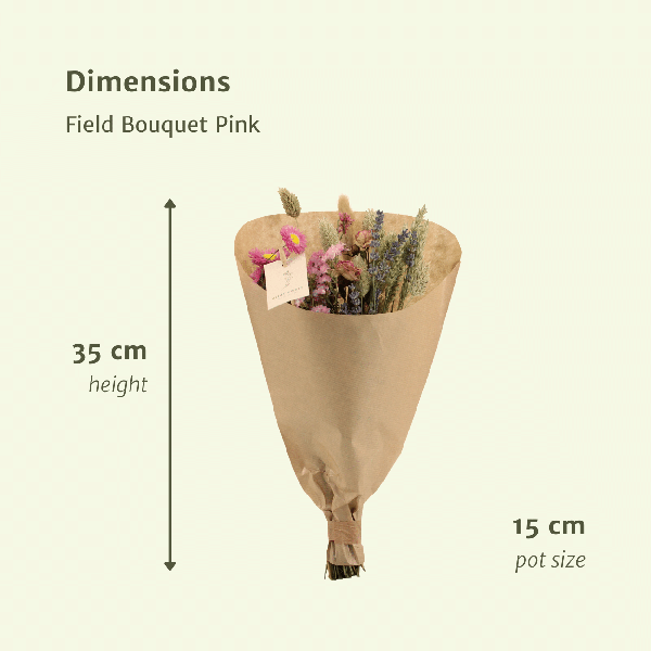 Image of Trockenblumen Feldblumenstrauß Rosa Ø15cm ↕35cm – dekorativer Trockenblumenstrauß für Vase, Tischdeko, Wohnzimmer & Geschenkidee-1