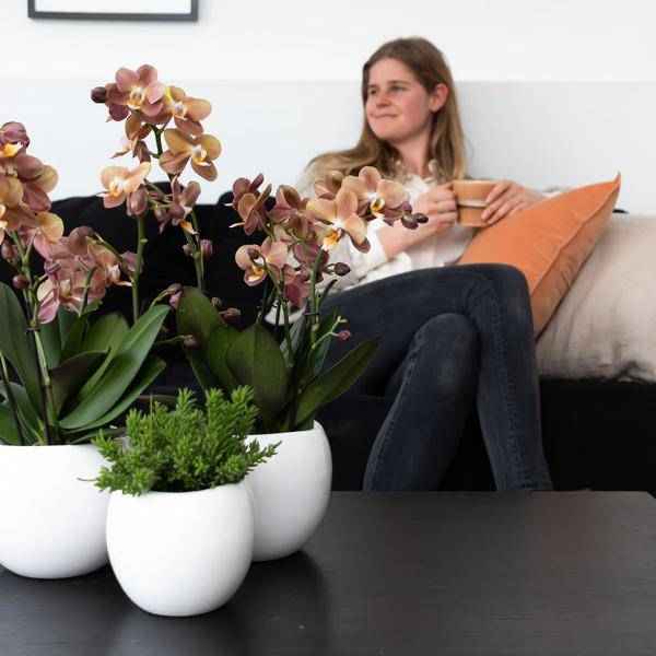 Image of Blumentopf Bowl – Weiß – Keramik – Ziertopf Ø9cm – Handgefertigter Übertopf mit Wellenrand – Für Zimmerpflanzen & Sukkulenten-3