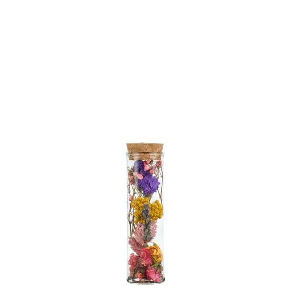 Image of Getrocknete Blumen – Wunderbottle – Multi – 12 Blumen – ↕10cm – Kleine Glasflasche mit Trockenblumen – Dekoration & Geschenkidee-0