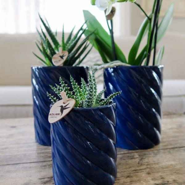 Image of Candy Dekotopf – Hoch – Blau – Ø6cm – Keramik Übertopf in Pastellblau – Stilvoller Blumentopf für Mini – Orchideen & Zimmerpflanzen – Pflanzentopf