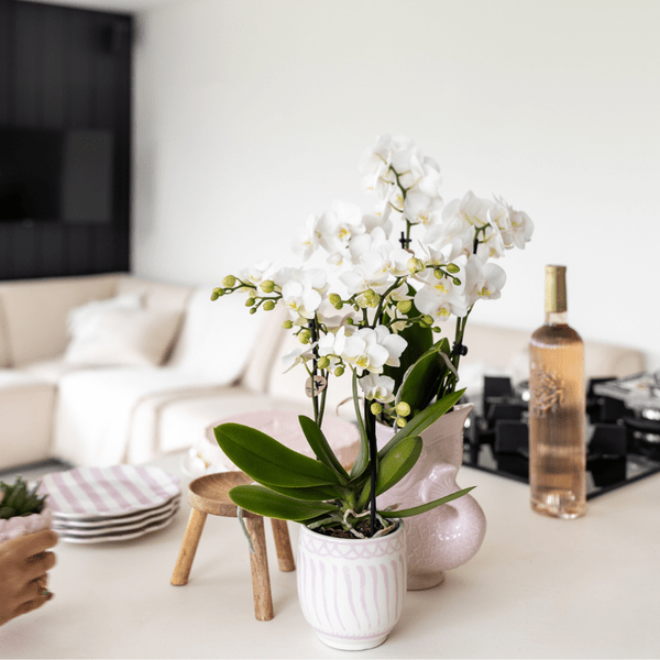 Image of Topf Granada – Rosa – Ø9cm – Dekorativer Keramiktopf – Mediterranes Design – Glasiert & langlebig – Für Zimmerpflanzen & Deko