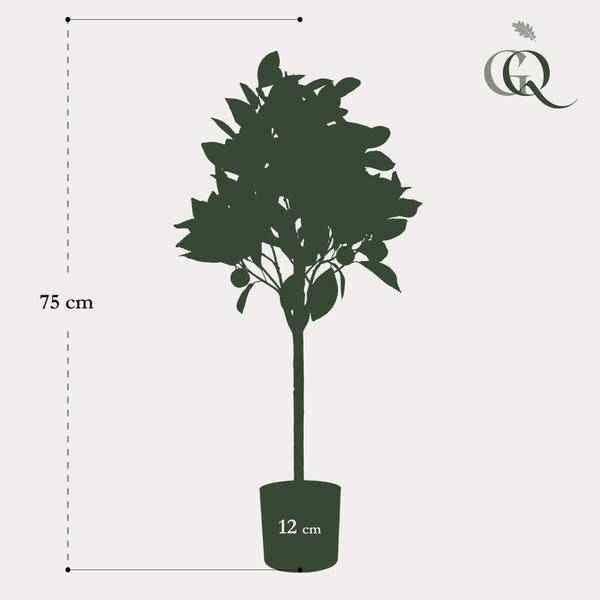 Image of Kunstpflanze Citrus Sinensis – Orangenbaum – 75cm – künstlicher Baum mit realistischen Blättern & Früchten – Deko-Pflanze für Zimmer & Büro-4